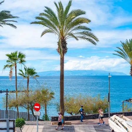 Beachfront Full Seaview Playa Americas *