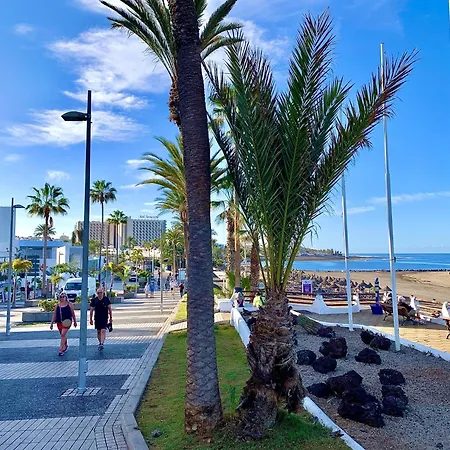 Beachfront 100 Seaview Playa Americas *