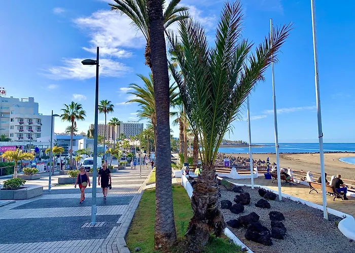 Beachfront 100 Seaview Playa Americas *